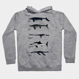 Marine Reptiles Hoodie